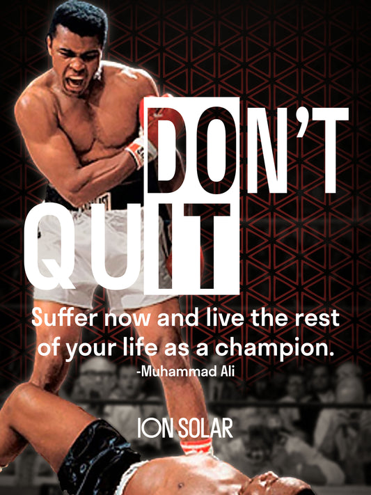 ION - Don't Quit Motivational Poster